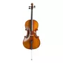 Segunda imagen para búsqueda de violoncello