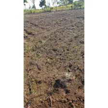 Vendo Finca En Los Castellanos, Hato Mayor, 140 Tareas