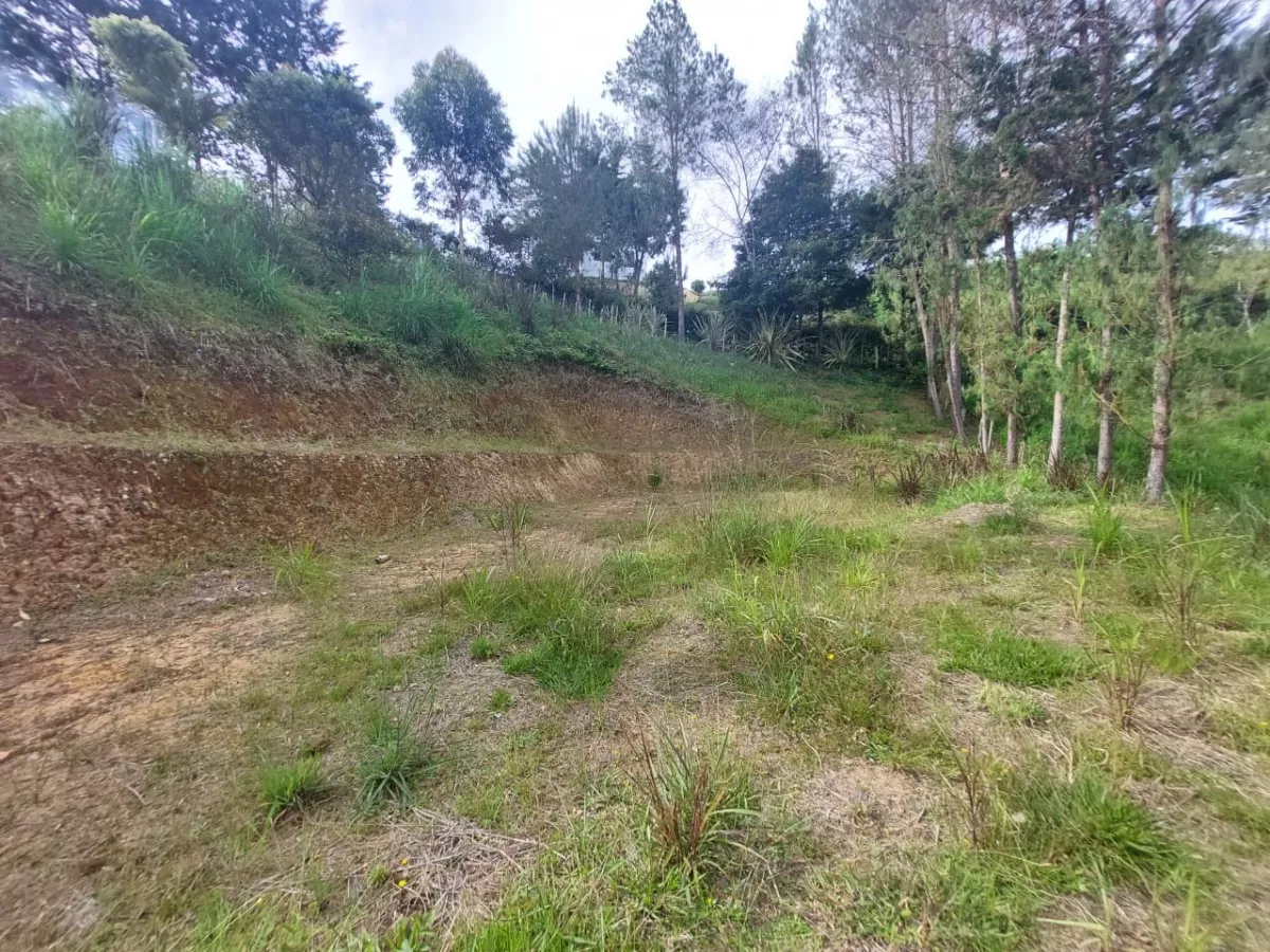 Venta De Lote En San Vicente Ferrer Antioquia - Vereda Chaparral