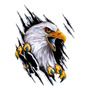 Ashland University Eagles Logo Oval Tow Trailer Hitch Cover 