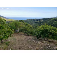 Finca De 400 Tareas De Venta En Barahona 