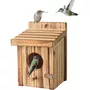 Segunda imagen para búsqueda de nido de colibri