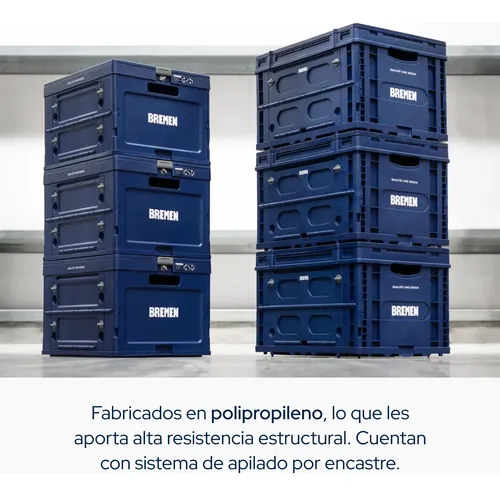 Cajon Plegable Con Tapa Bremen 48x38x30 Cm 20kg/47l 8636 Dgm Azul