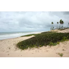 Terreno Em Frente Ao Mar - Barra Do Itariri