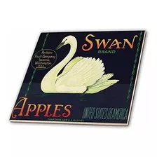 3drose Ct Manzanas De La Marca Swan Washington Usa 