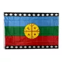 Segunda imagen para búsqueda de bandera mapuche