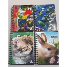 Libreta Espiral 6 Materia Pequeña 15x21 Caribe Precio 4 Pzas