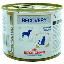 Recovery Royal Canin Lata Cães E Gatos 195 G - 1 Unidade