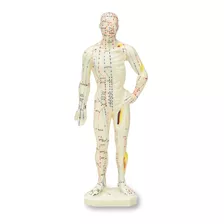 Modelo Anatómico, Cuerpo Humano Para Acupuntura, Medicina