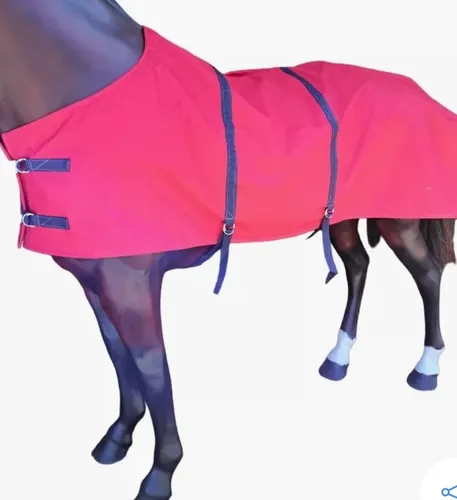 Primera imagen para búsqueda de caballos y yeguas venta caballos