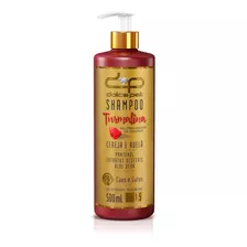 Shampoo Neutralizador De Odores Dolce Pet - 500 Ml