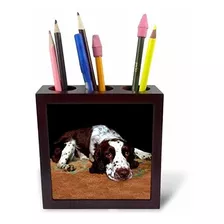 English Springer Spaniel - Portalápices Para Azulejos, 5 Pul