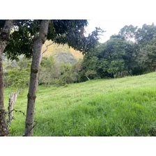 Venta De Finca En Somondoco Boyaca 7.000 Metros