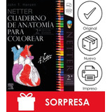 Netter / Cuaderno Colorear + Pluma Hueso Regalo