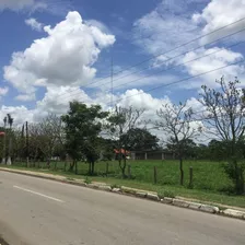 Rancho En Venta - Tizimín,yucatán