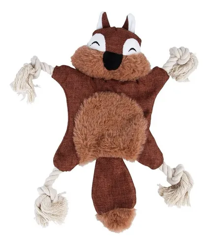 Primera imagen para búsqueda de venta de ardilla mascotas