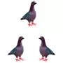 Terceira imagem para pesquisa de pomba chama de borracha