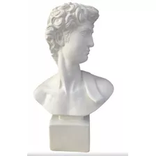 Imagem Busto David De Michelangelo 30cm Estátua Gesso Cru