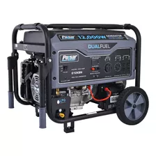 Pulsar G12kbn-sg Heavy Portable Dual Fuel Generator 12000w