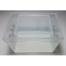 Caja De Acrílico De 15x10x10, Para Hormigueros, Terrarios.