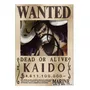 Tercera imagen para búsqueda de carteles wanted one piece