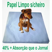 Jornal Pet Para Cão Aves 60 X 60cm 500 Un Reciclado +brinde 