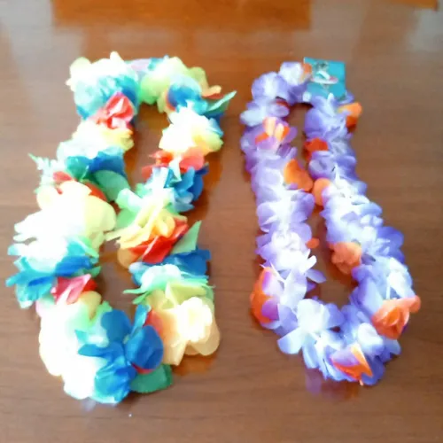 Segunda imagen para búsqueda de hawaiana
