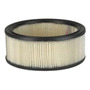 Filtro De Aire Mercury Cyclone 4.3l 2022 Efa-148