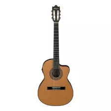 Ibanez 6 Cuerdas Guitarra Clásica, Derecha, Natural (ga5tce)