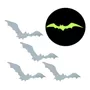 Segunda imagem para pesquisa de morcego halloween