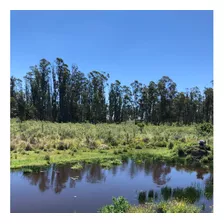 Chacra 3,5 Has - Sauce - Canelones - A 45km De Montevideo - Un Paraiso!!! - Contado O Financiado 