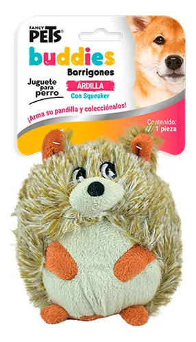 Segunda imagen para búsqueda de venta de ardilla mascotas