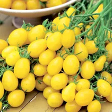 Semente Orgânica Tomate Uva Amarelo E Vermelho Sweet Grape 