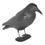 Segunda imagen para búsqueda de cuervo de plastico