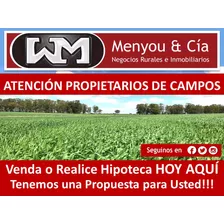 Venta Compra Campo 200has 2500has Agrícola Ganadero Forestal