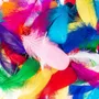 Tercera imagen para búsqueda de plumas de colores