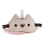 Tercera imagen para búsqueda de pusheen box