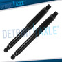 Both Rear Shock Absorbers For Buick Chevy Terraza Montan Ddh