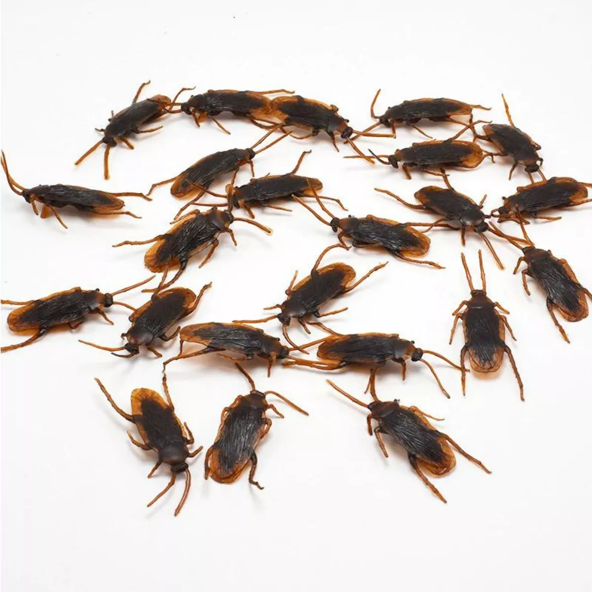 Broma Cucaracha Falsa Insectos Desagradables X10 Y A