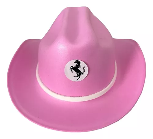 Terceira imagem para pesquisa de chapeu cowboy rosa