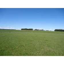 Campo En Venta En Lavalleja, 97 Hectáreas.