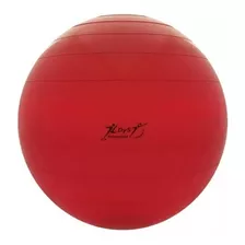 Pelota Pilates 70 Cm 900gr Reforzada Yoga Esferodinamia Vera