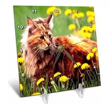 3drose Llc Cat In The Flower Field Reloj De Escritorio 
