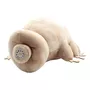 Terceira imagem para pesquisa de tardigrado