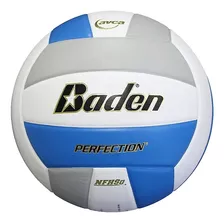 Voleibol De Cuero De Perfección De Baden