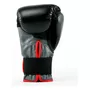 Primera imagen para búsqueda de guantes de boxeo everlast