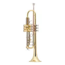 Trompeta Para Estudiante Bach Tr500dir