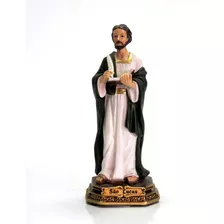 Imagem Padroeiro Santo São Lucas 22cm Resina Promoção