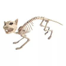 Decorativo Esqueleto De Gato Halloween Terror Fiesta 