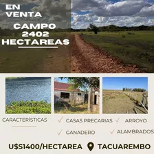 Campo De 2402 Hectáreas En Tacuarembó, Ganadero 